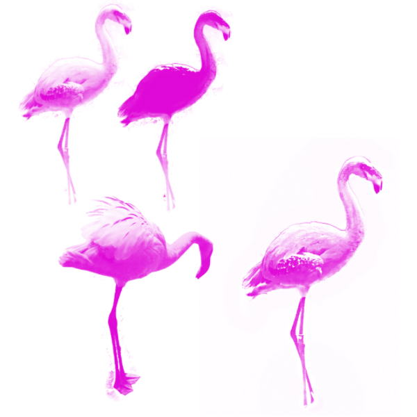 Flamingo Brush set