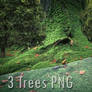 3 Trees PNG Downloads