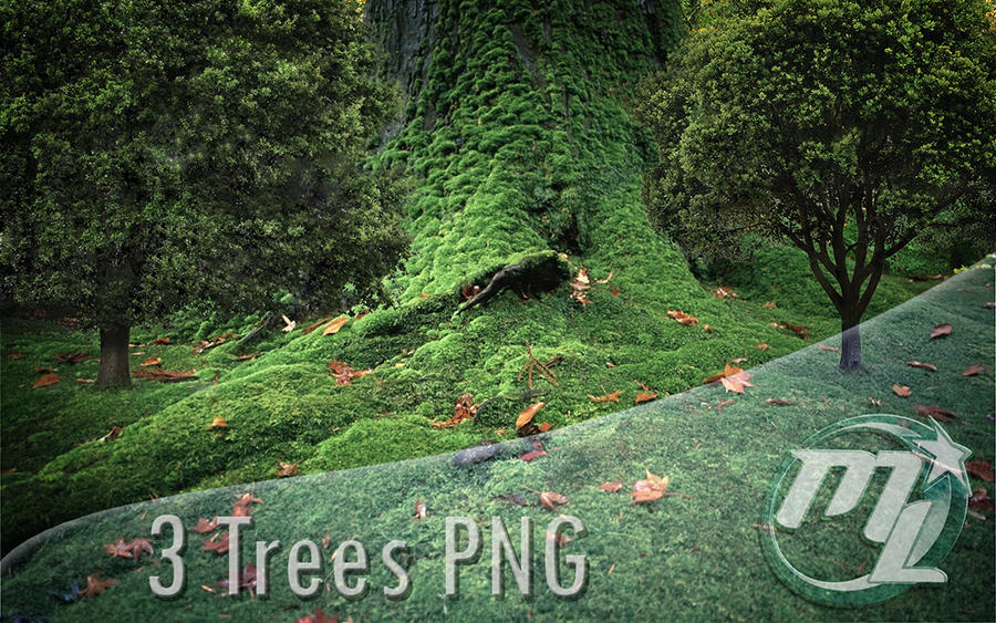 3 Trees PNG Downloads by ArtML30 on DeviantArt