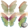 Butterfly Colors Transparents PSD