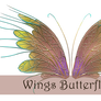 Wings Butterfly III