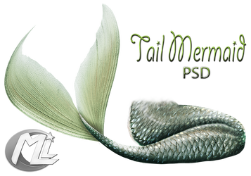 Tail Mermaid