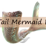 Tail Mermaid PNG