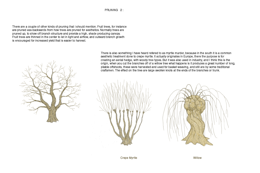 tree tutorial 7/11 by VinceAndrews on DeviantArt