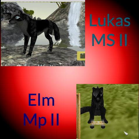 Lukas and Elm