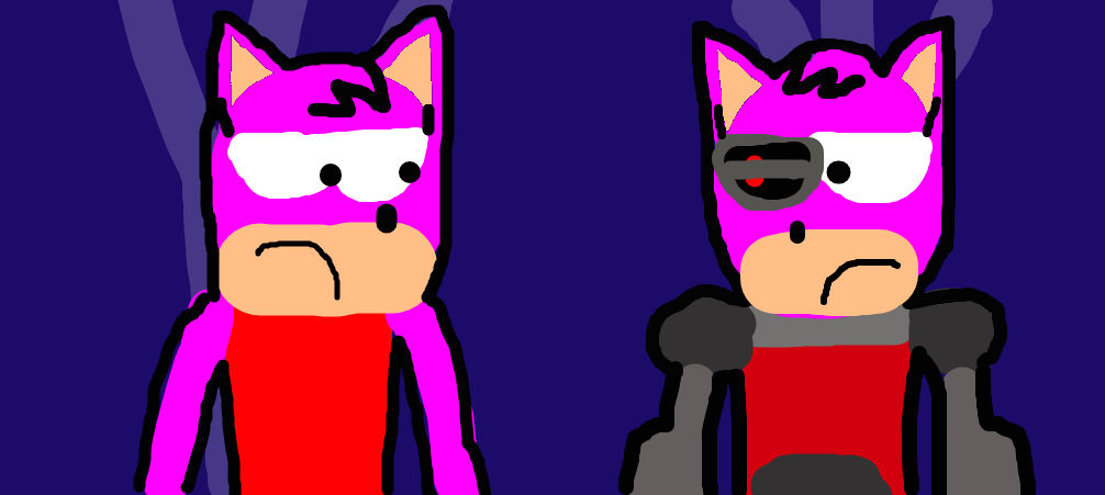 Amy Rose 3 - I'm Flattered By The Cosplay... by TeamProckyBen on DeviantArt