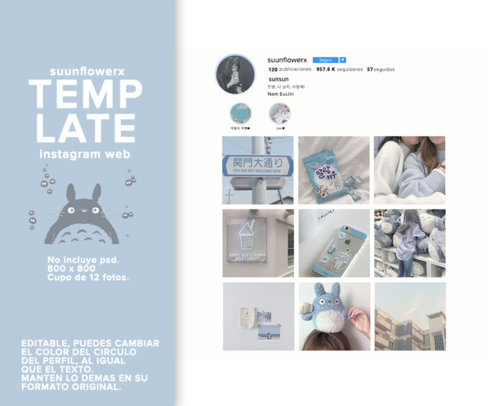 INSTAGRAM TEMPLATE by suunflowerx on DeviantArt