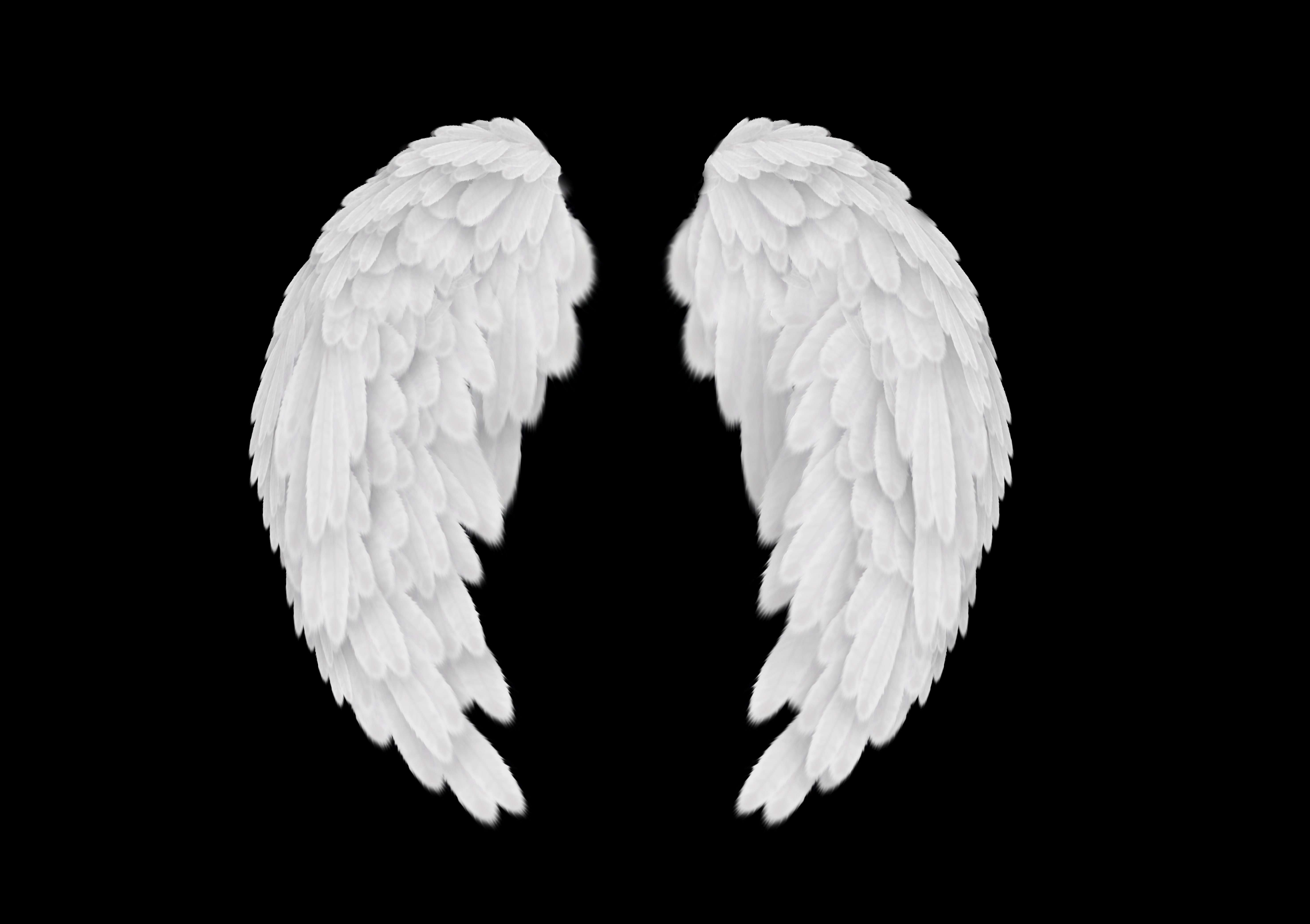 Angel wings PSD