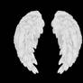 Angel wings PSD