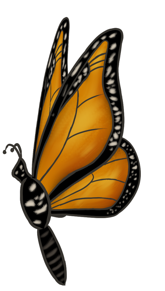 Butterfly Animation By Songofcrow On Deviantart