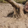 Decisions: The Log or The Bog?