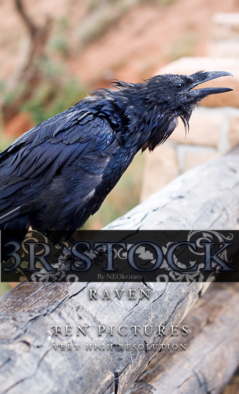 3R Stock - Raven