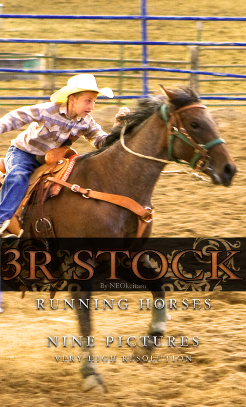 3R Stock - Running Horses