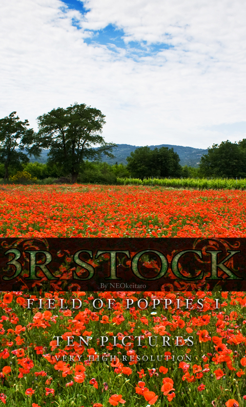 3R Stock - Poppy Field I