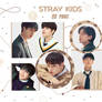PACK PNG - Stray Kids