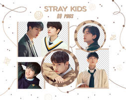 PACK PNG - Stray Kids