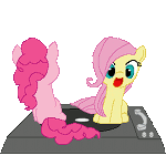 Spin Pinkie Pie and Fluttershy Spin