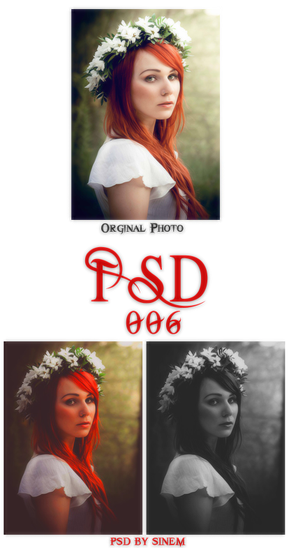 PSD 006