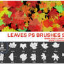 Autumn Leaves Photoshop Brushes - Foglie autunnali