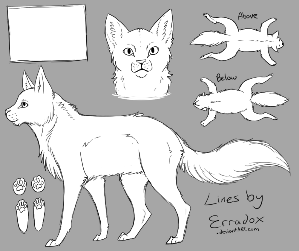 Domestic Longhair Cat Reference Template