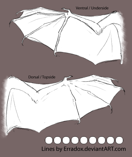 How to Draw Demon Wings (Bat-Like) 