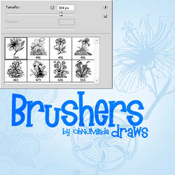 draws BRUSHERS