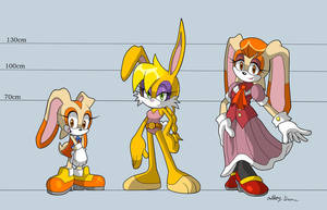 Sonic's New Adventures Rabbit Ruckus