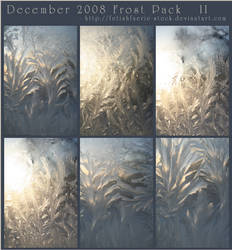 December 2008 - Frost Pack II