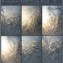 December 2008 - Frost Pack II
