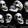 Skull Stock Pack 2