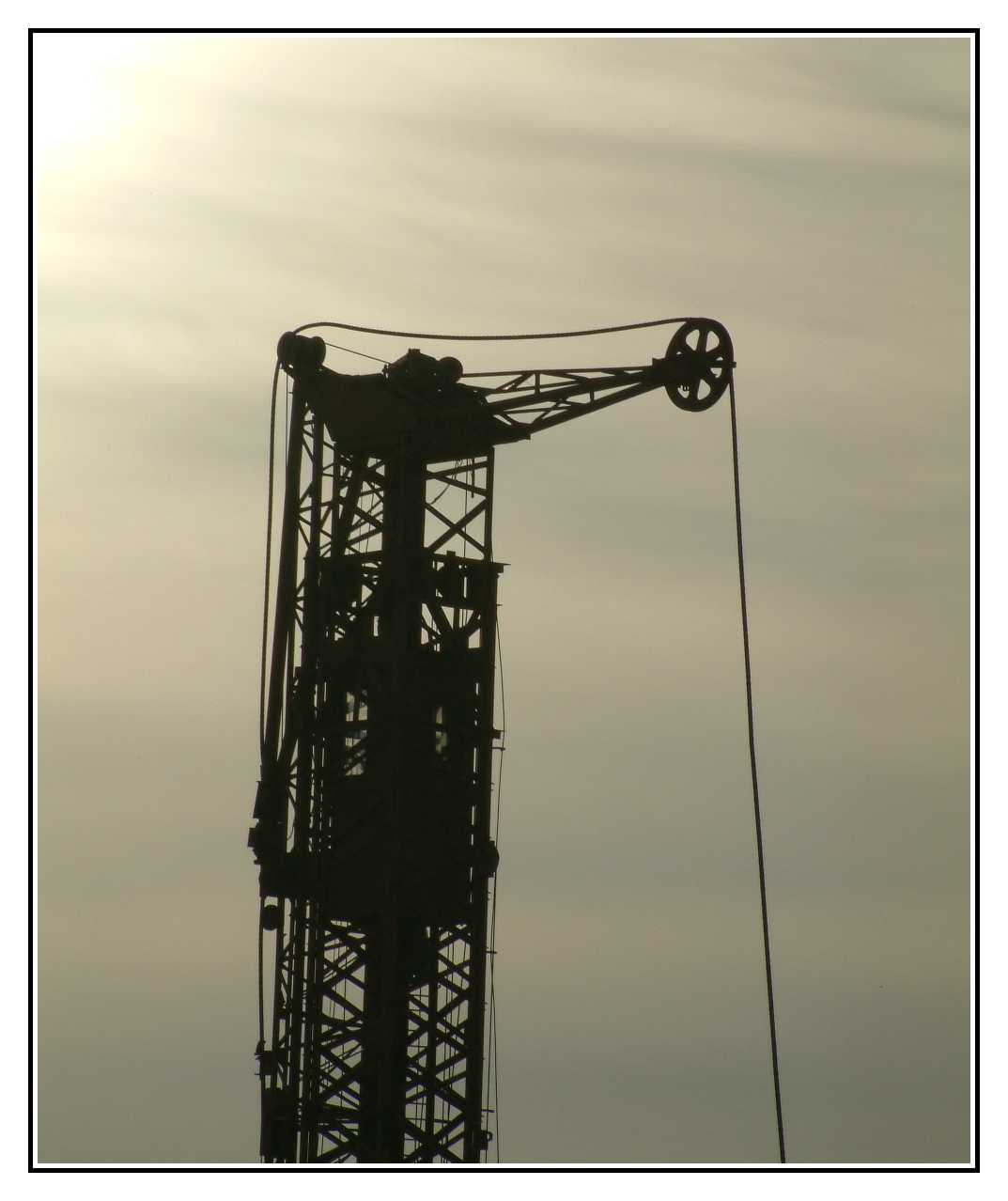 Crane by natikorn on DeviantArt