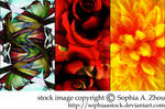 texture pack: abstract flowers by sophiaastock