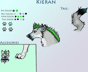 Kieran- New Anthro