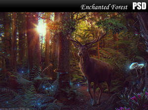 Enchanted Forest PSD