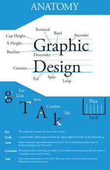 Typeface Anatomy and History