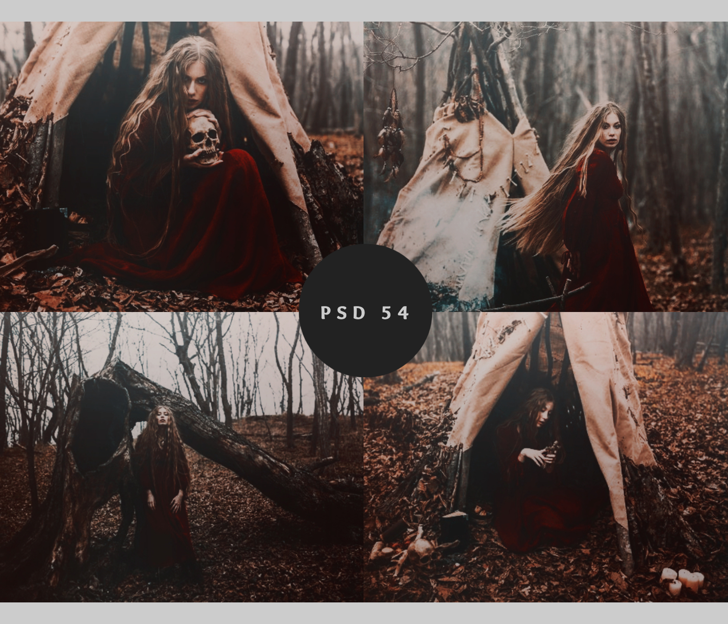 psd 54 : shamans by chrisbriney on DeviantArt
