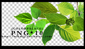 leaves_png_bymika