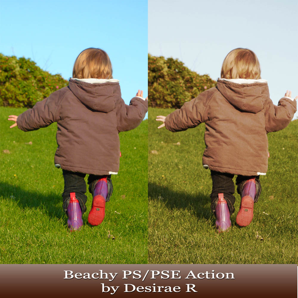 Beachy PS and PSE Action