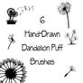 Dandelion Puff Brushes