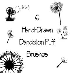 Dandelion Puff Brushes