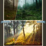 Nature Photoshop Actions