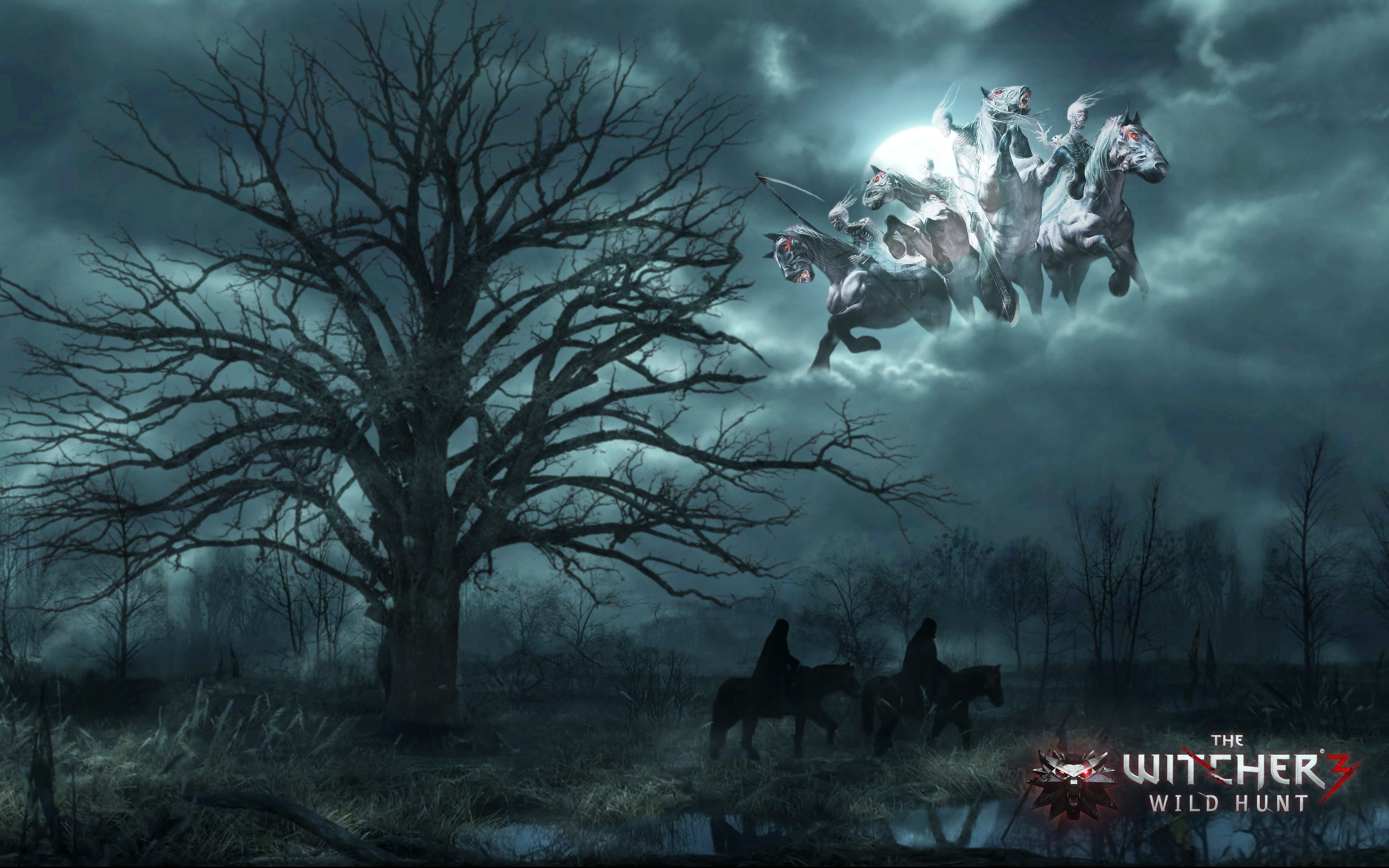 the witcher wild hunt the witcher wild hunt
