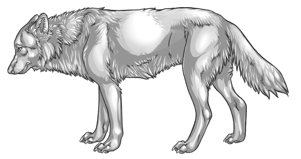 Free Wolf Template by KlakKlak on DeviantArt Free Wolf Template by KlakKlak on DeviantArt