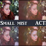 Small mist   ACTIONS Ps