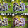 Rising light    ACTIONS Ps 