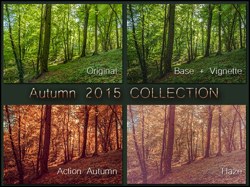 Autumn 2015 Collection 