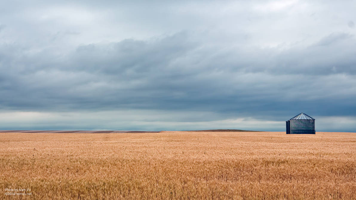 Солнце в степи. Убранное поле под голубым небом. Terreno. Трава и небо. Open field.