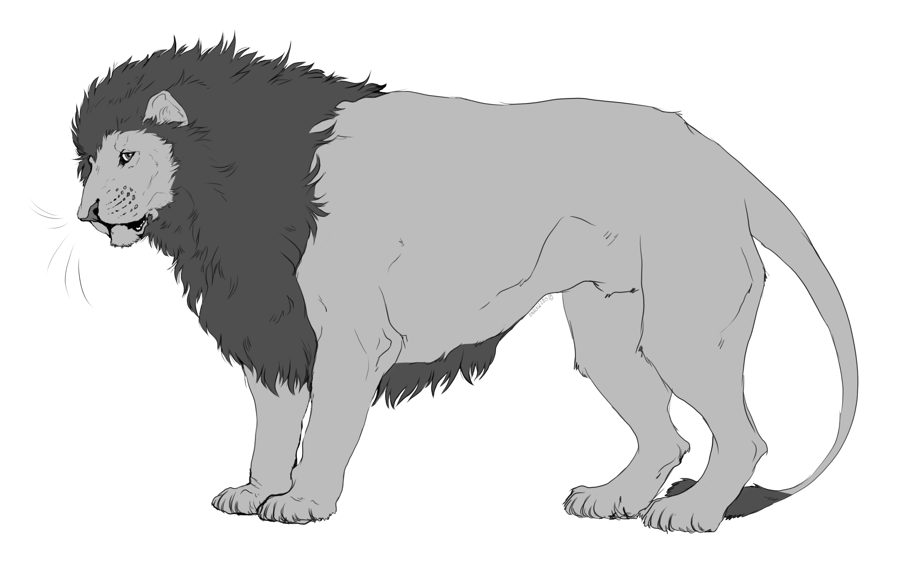 Easy Color Free Lion Lineart By Iwun On Deviantart
