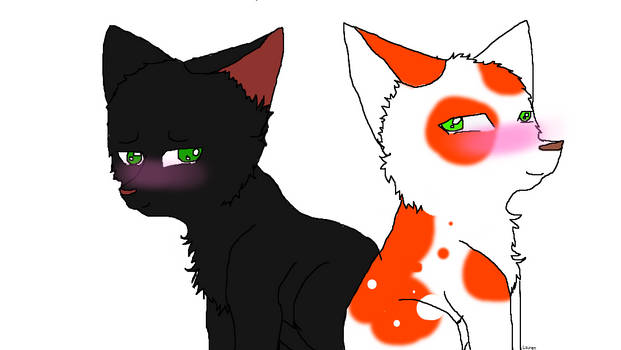 Hollyleaf X Fallen Leaves