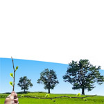 Sustainability banner